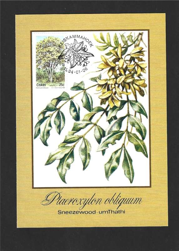 1984 CISKEI TREES