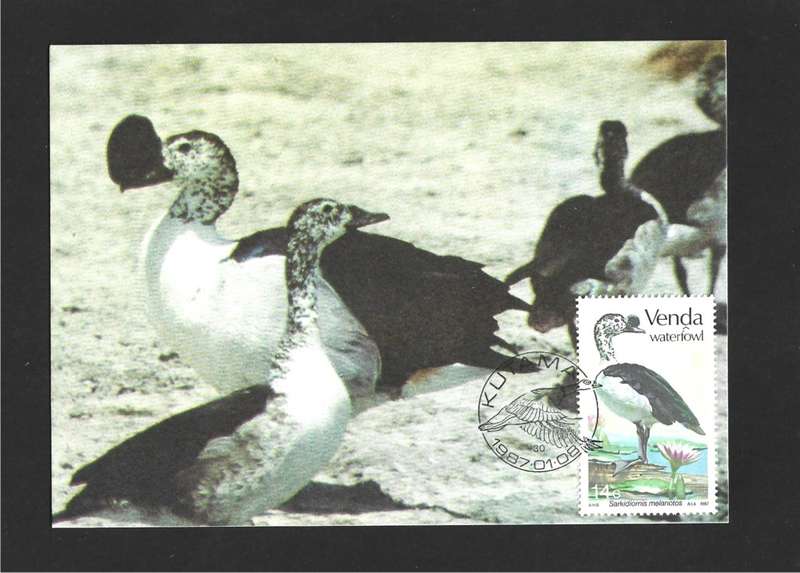 1987 VENDA WATERFOWL