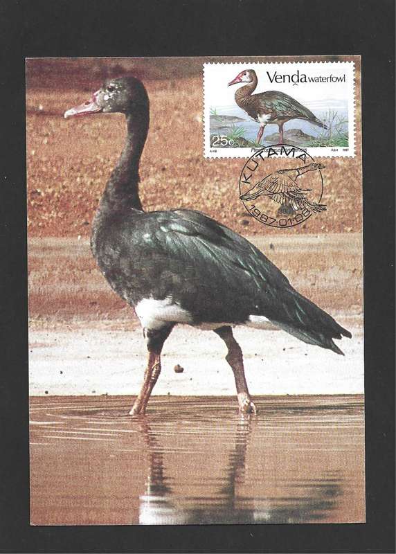 1987 VENDA WATERFOWL