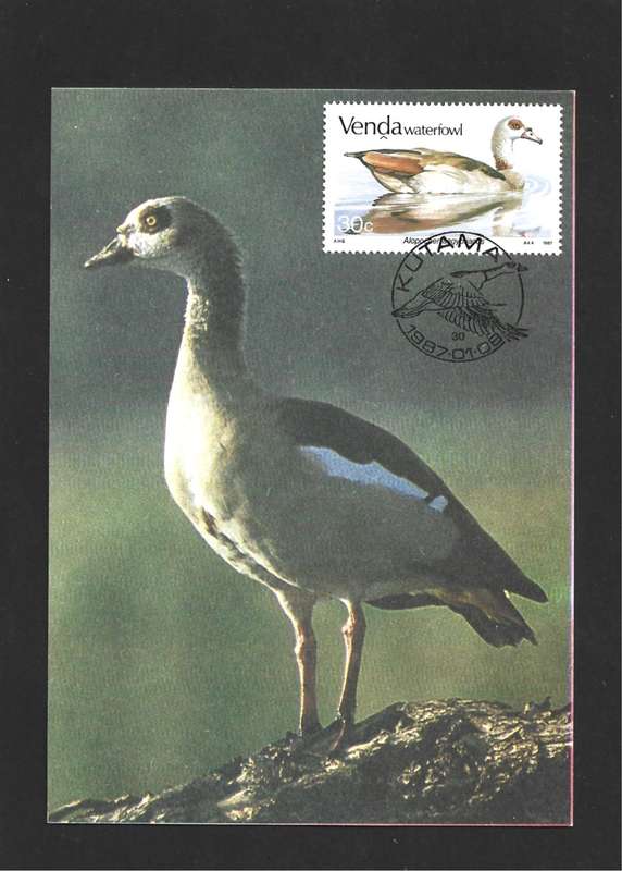 1987 VENDA WATERFOWL