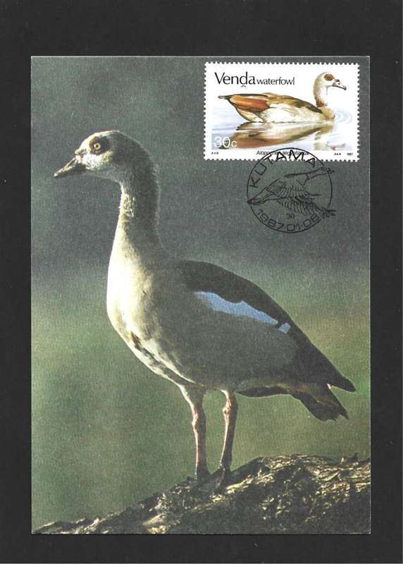 1987 VENDA WATERFOWL