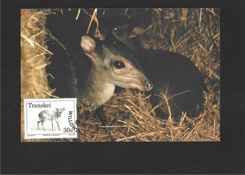 1988 TRANSKEI ENDANGERED WILD ANIMALS