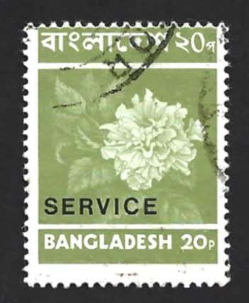 1973 BANGLADESH LOCAL MOTIVES