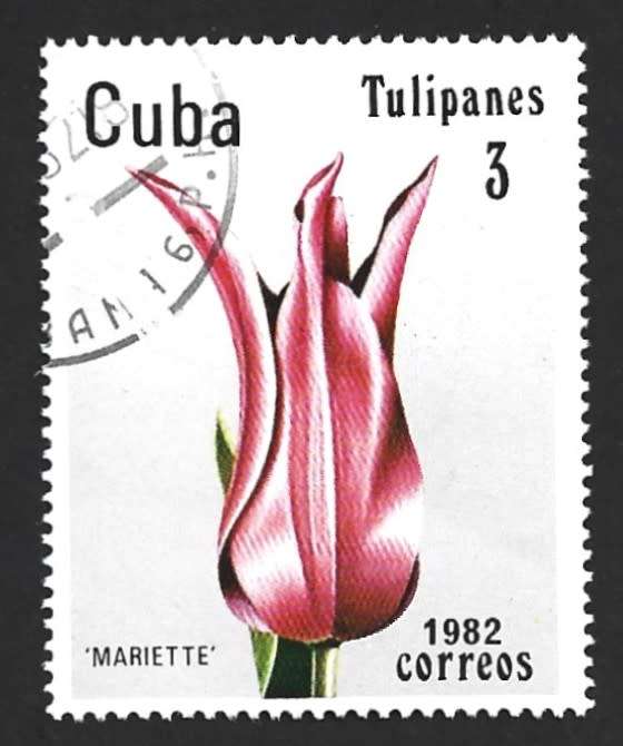 1982 CUBA TULIPS