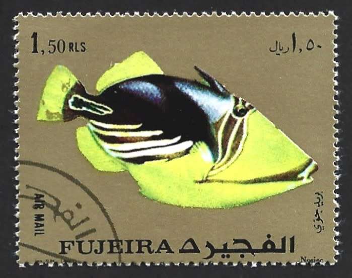 1972 FUJEIRA FISH