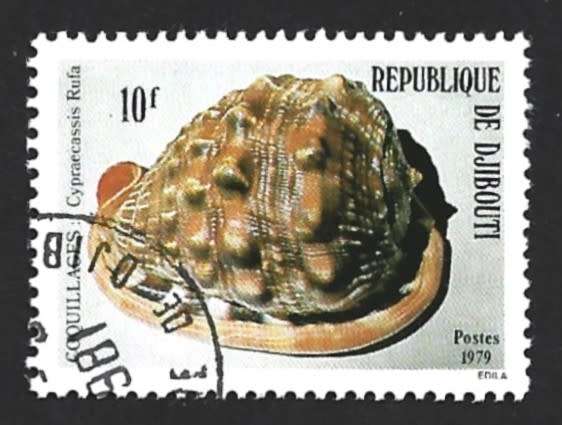 1979 DJIBOUTI SHELLS