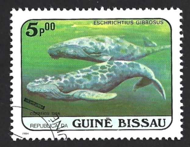 1984 GUINEA BISSAU WHALES