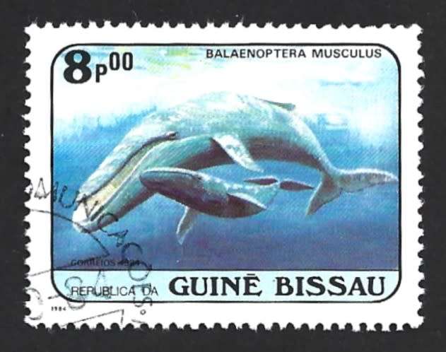 1984 GUINEA BISSAU WHALES