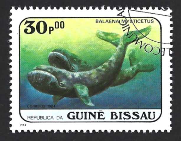 1984 GUINEA BISSAU WHALES