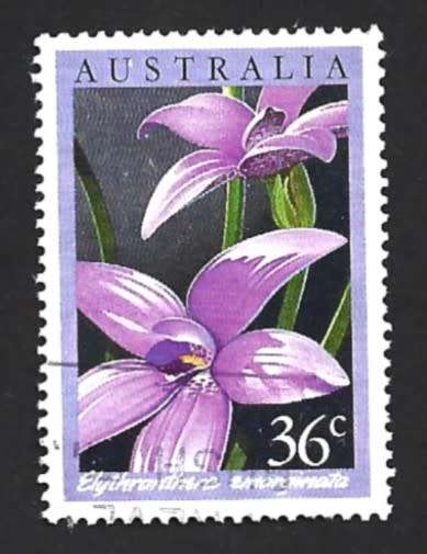 1986 AUSTRALIA ORCHIDS