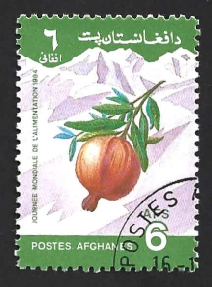1984 AFGHANISTAN WORLD FOOD DAY