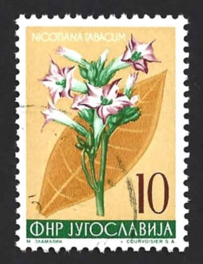 1955 YUGOSLAVIA LOCAL FLORA