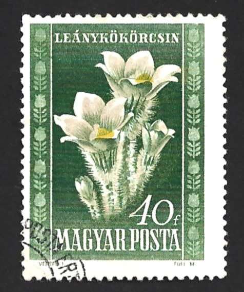 1950 HUNGARY FLORA