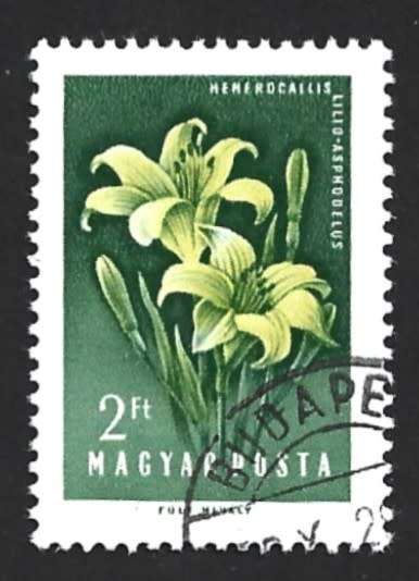 1958 HUNGARY FLOWERS