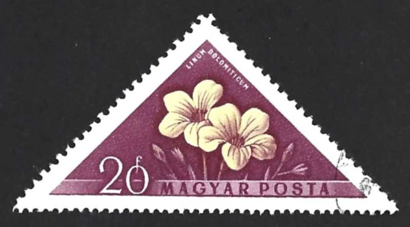 1958 HUNGARY FLOWERS