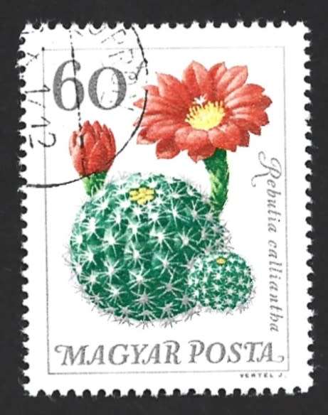 1965 HUNGARY FLOWERS