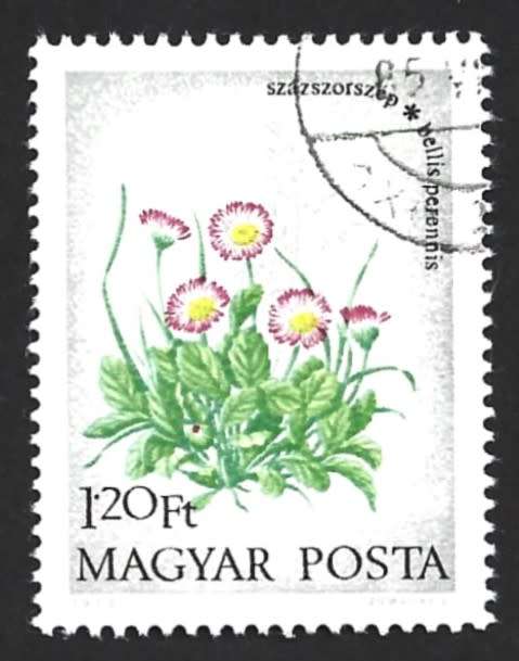 1973 HUNGARY FIELD FLOWERS