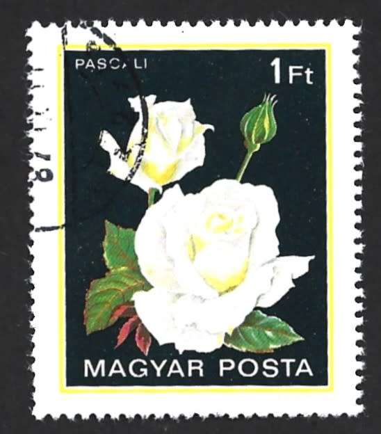 1982 HUNGARY ROSES