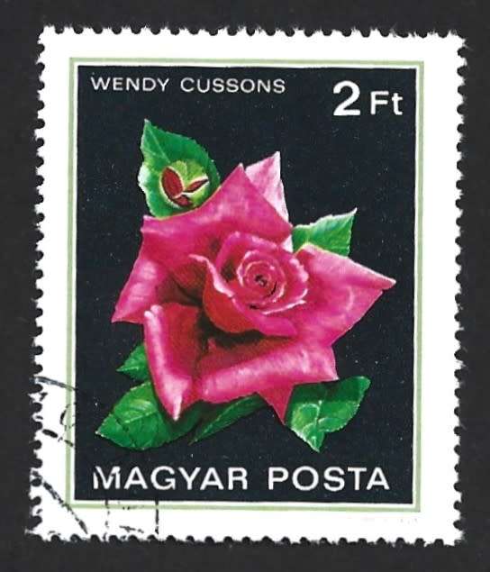 1982 HUNGARY ROSES