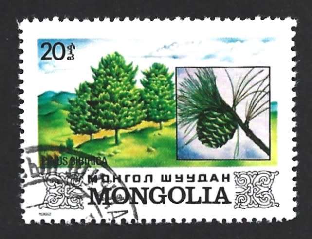 1982 MONGOLIA TREES