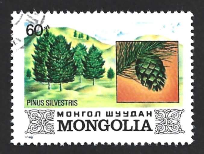 1982 MONGOLIA TREES