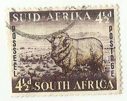 1953 SOUTH AFRICA MERINO RAM