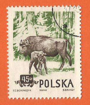 1954 POLAND BISON