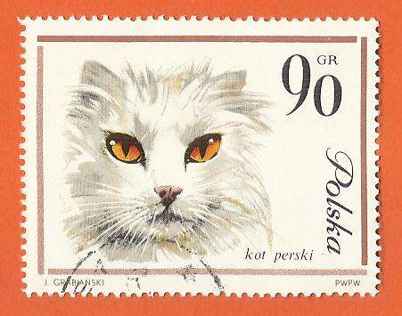 1964 POLAND CAT