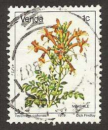 1979 VENDA FLOWERS