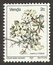 1979 VENDA FLOWER