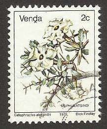 1979 VENDA FLOWER