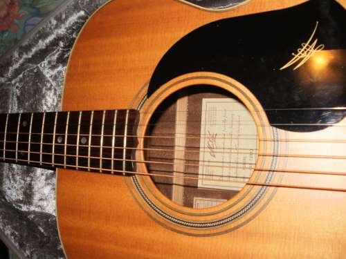 Maton BG808L 1998