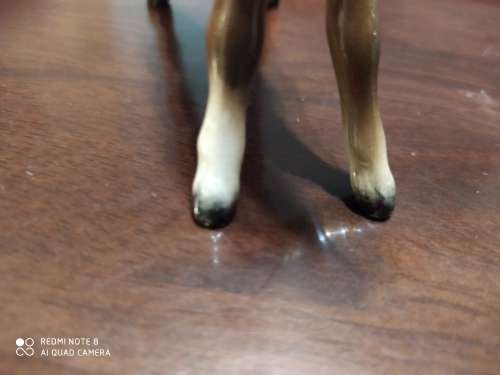 Beswick foal