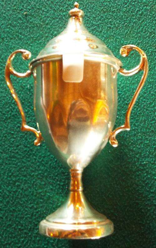 Silver plated Trophy with Lid - No inscriptions