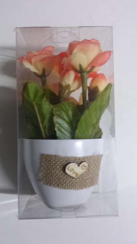 Plastic Flowers