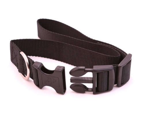 GPS Tracker The Latest in PET & Personal Security