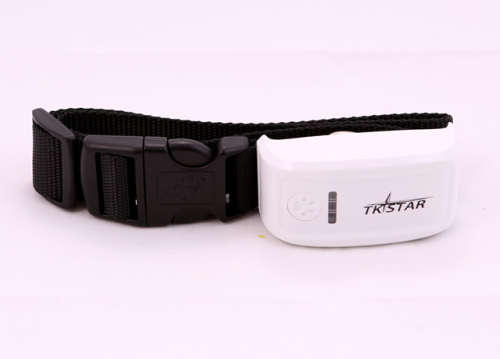 GPS Tracker The Latest in PET & Personal Security
