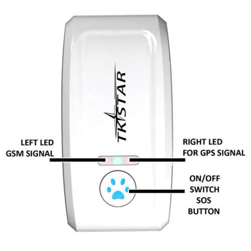 GPS Tracker The Latest in PET & Personal Security