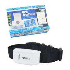 GPS Tracker The Latest in PET & Personal Security