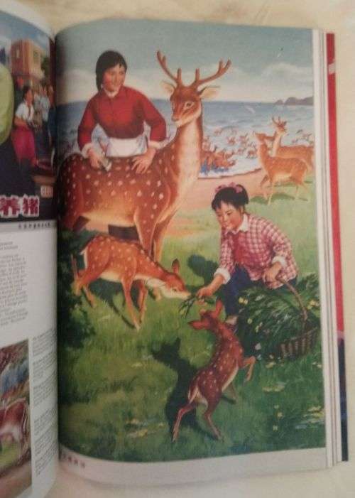 Chinese Propaganda Posters