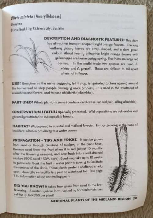 Growing and Knowing Muthi Plants - Conservacy Association