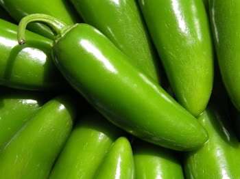 Jalapeno Pepper Seeds