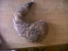 ANOTHER SPANISH WINE SACK!!!!