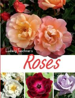 Ludwig Taschner's Roses