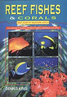 Reef Fishes & Corals