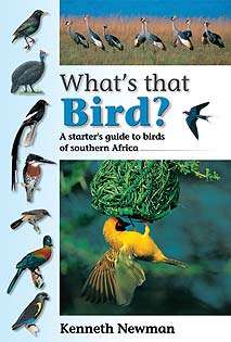 What's That Bird?