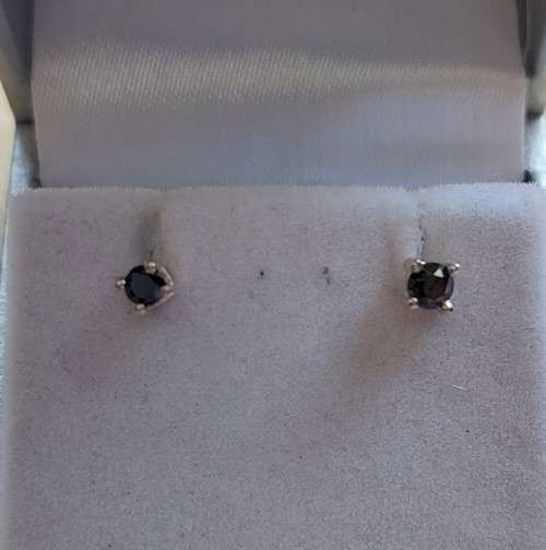 0.19ctw Black Diamond Silver Stud Earrings