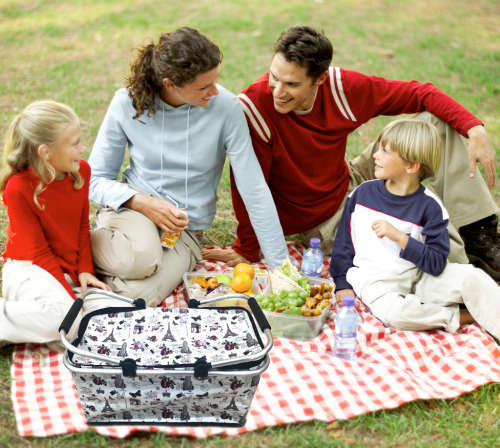 Foldable Printed Picnic Basket