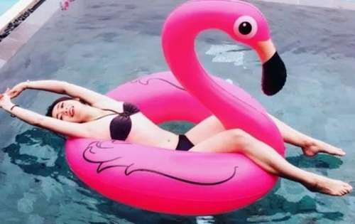 Flamingo Pool Floating Tube for swimming pool
