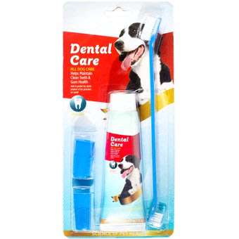 Dental Care For All Dogs to Maintain Clean Teeth and Gum Health